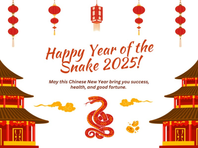 Happy Year of the Snake!