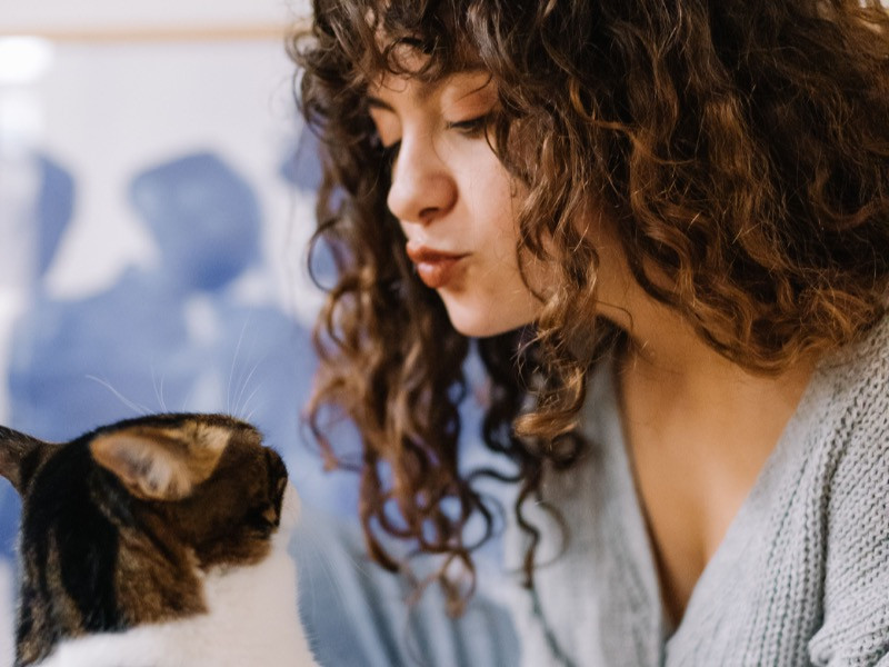 Who Speaks for the Cat? Why Southeast Asia Pays to Translate Its Pets